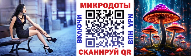 Псилоцибиновые грибы Psilocybe  наркота  Сосенский 