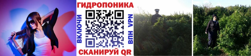 Бошки Шишки Ganja Сосенский